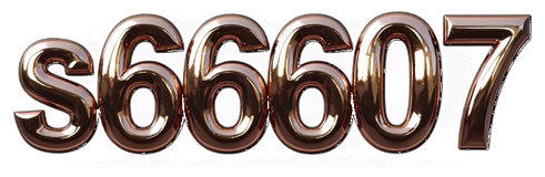 s66607 logo